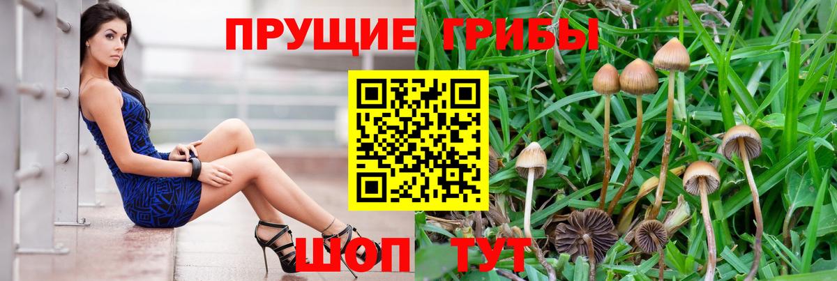 Псилоцибиновые грибы мухоморы  Вход с VPN  купить наркотики цена  Кизилюрт 